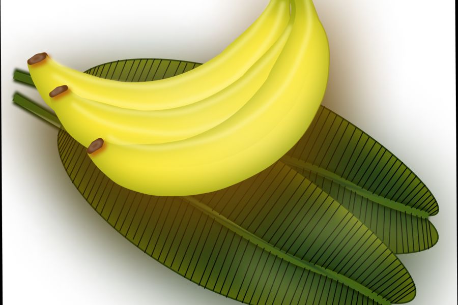 Продаю: Иллюстрация Связка банана -   товар id:12189