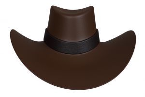 hat2