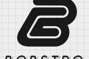 Bobstro-company
