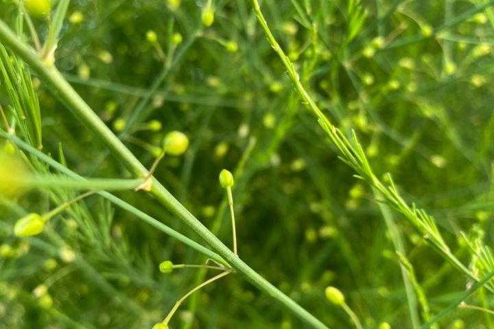 Cниму для вас красивые кадры - 2034620