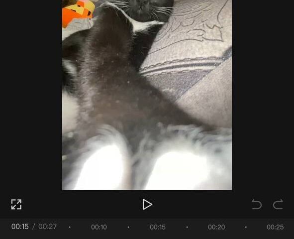 Смонтирую небольшое видео