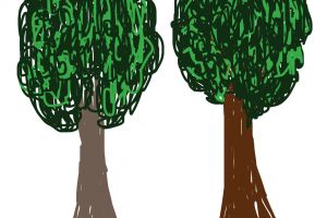 New Project (2)
