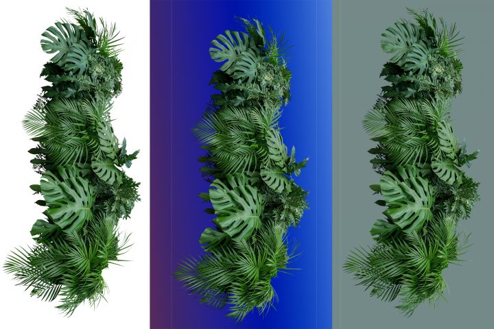 Обтравка - 2040039