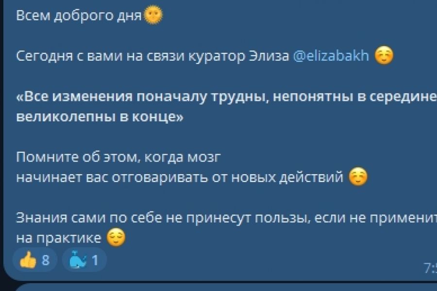Куратор онлайн проектов 5 000 руб. за 3 дня.. Eliza Bakh
