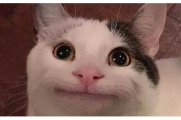 Маркетолог по подписке