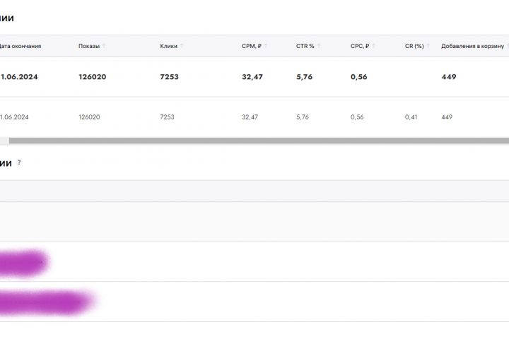 Запуск и контроль внутренней рекламы на Wildbеrriеs (5 дней) - 2042513
