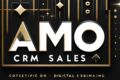 Внедрение и Настройка amoCRM