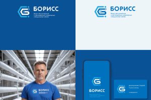БОРИСС logotype