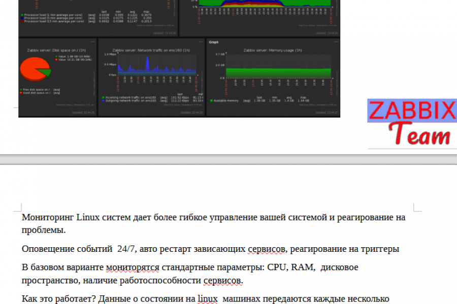Zabbix team - мониторинг вашей инфраструктуры 4 000 руб.  за 2 дня.. virgil rs