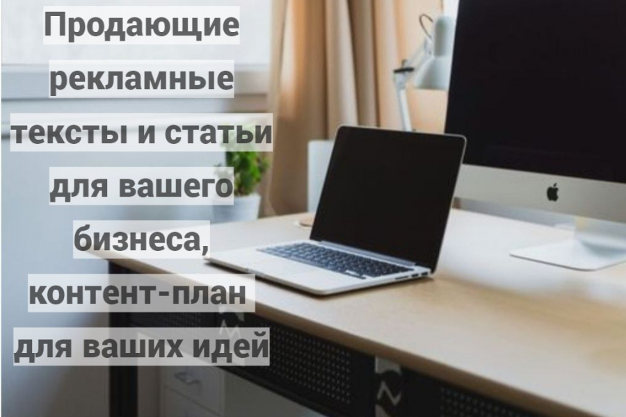 Продающие рекламные тексты 2 000 руб.  за 1 день.. Елизавета Савельева