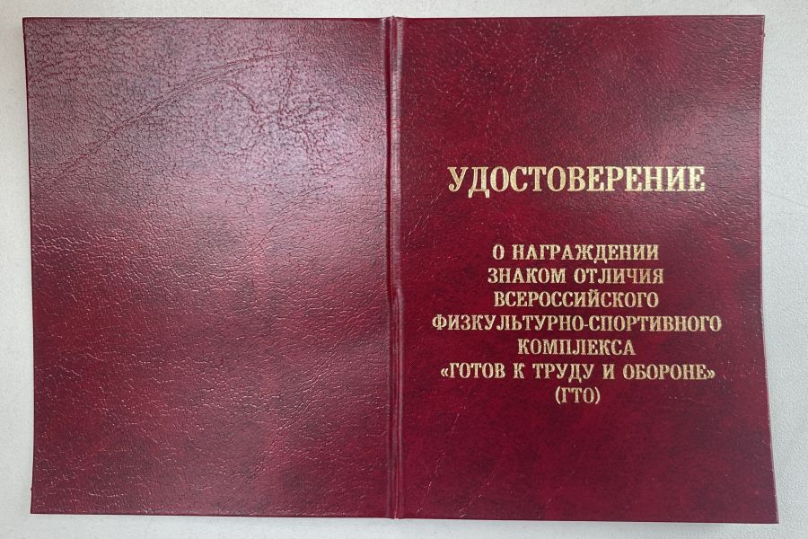 Организация и проведение сдачи норм ГТО 10 000 руб.  за 1 день.. Екатерина Алексеева