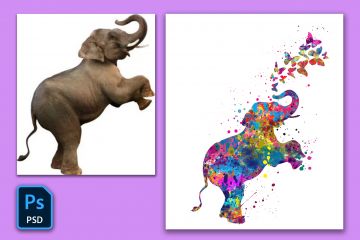 Создам принт в стиле акварель - абстракция по любому изображению