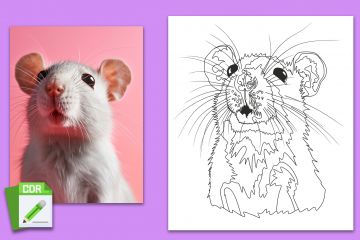 Создам раскраску по фото или иллюстрации, линейный рисунок, лайн арт