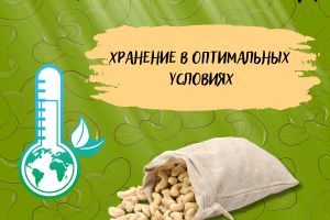 Без названия (1200 x 1200 пикс.) (1200 x 1200 пикс