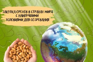 Без названия (1200 x 1200 пикс.) (1200 x 1200 пикс