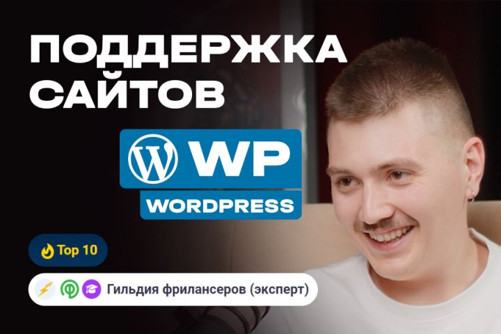 Поддержка сайтов на wordpress - 2070149