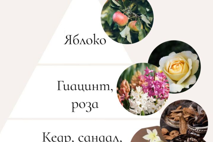 Разработка карточек для товаров на маркетплейсах