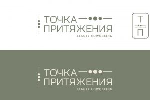 logo_точка_притяжения