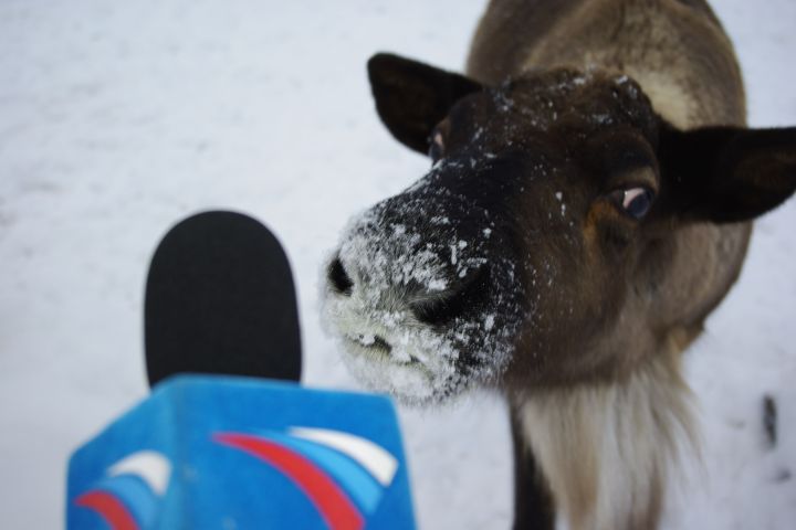 Монтаж видео  - титры, спецэффекты, аудио - 2076417