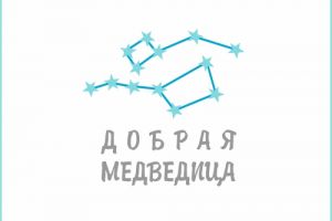 Добрая медведица4 КДВ