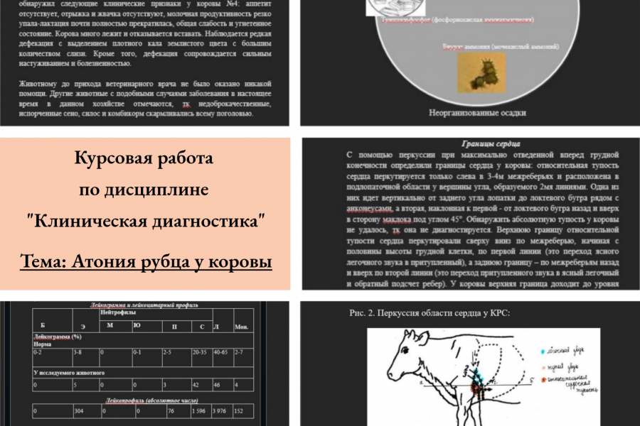 Продаю: Курсовая работа по клинической диагностике (ветеринария) -   готовая работа на продажу :12940