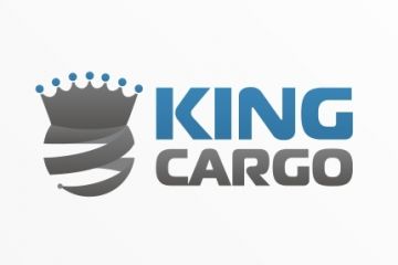 Профессиональный и уникальный логотип