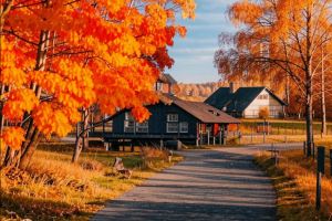 kandinsky-download-1728640677936