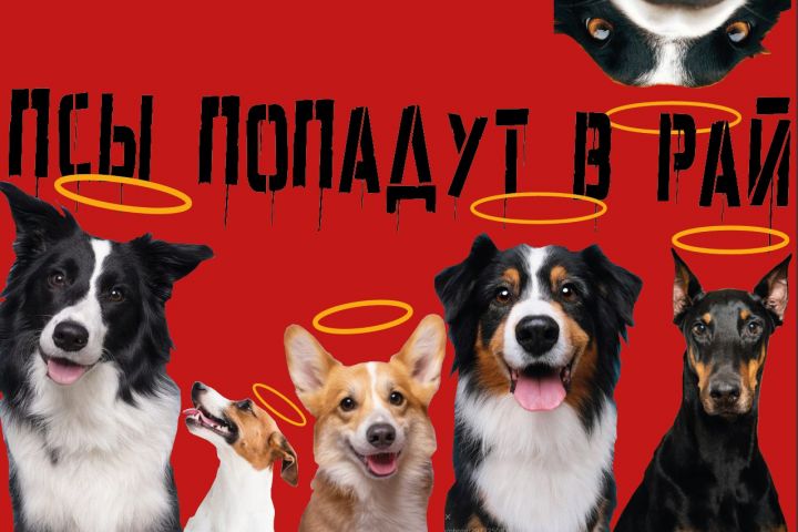 Рекламные банеры и визитки. - 2087245