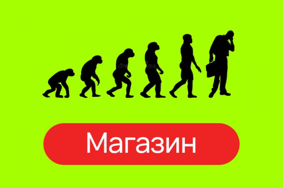 Разработка интернет-магазина 44 999 руб.  за 21 день.. Игорь Росляков