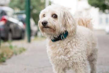 Консультации, генерация идей