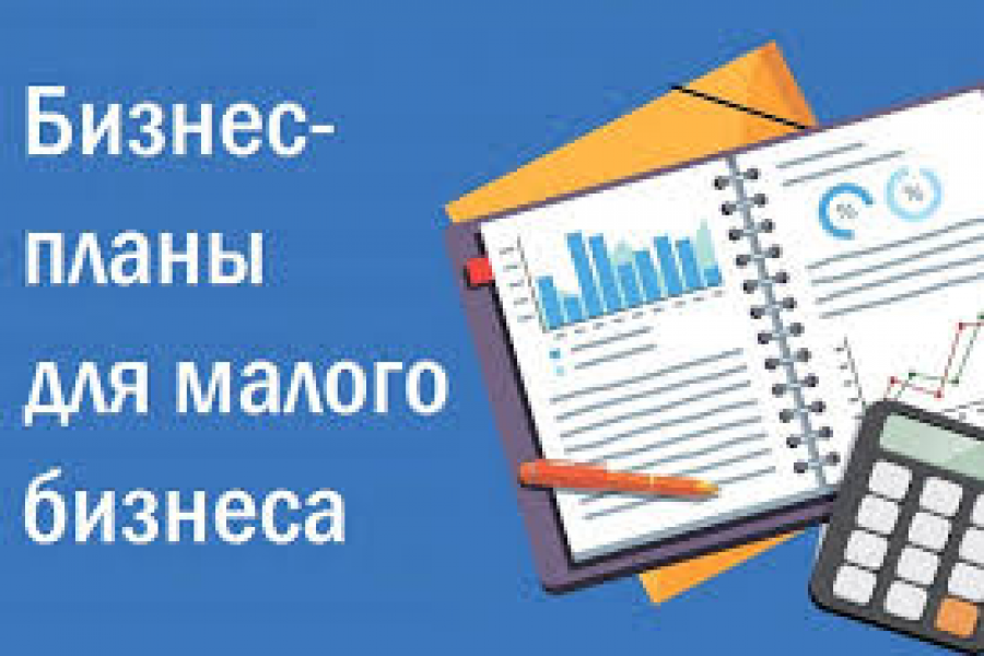 Пишу бизнес-планы 4 999 руб.  за 1 день.. Жанна Архипова