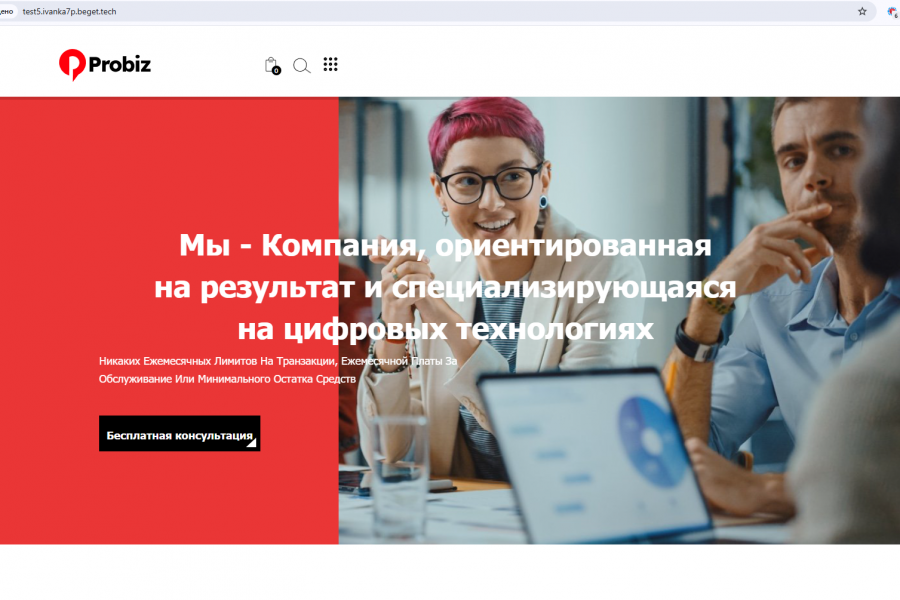 Готовый интернет-магазин на WordPress. Плагины+способы оплаты. Чат 9 990 руб.  за 3 дня.. Игорь Заяц