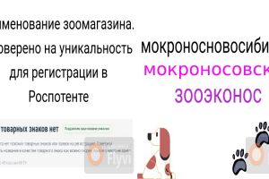 конкурс лайт 01.11.24