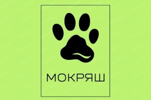 мокряш
