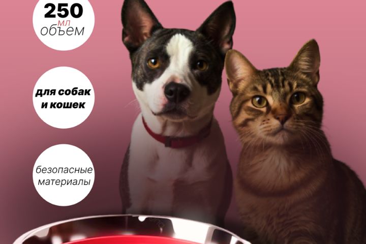 Карточки для маркетплейсов - 2093407