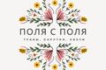 Создание логотипов и слоганов к ним.