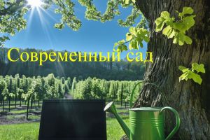 Laptop On Wood Amidst Green Grass And Orchard Background