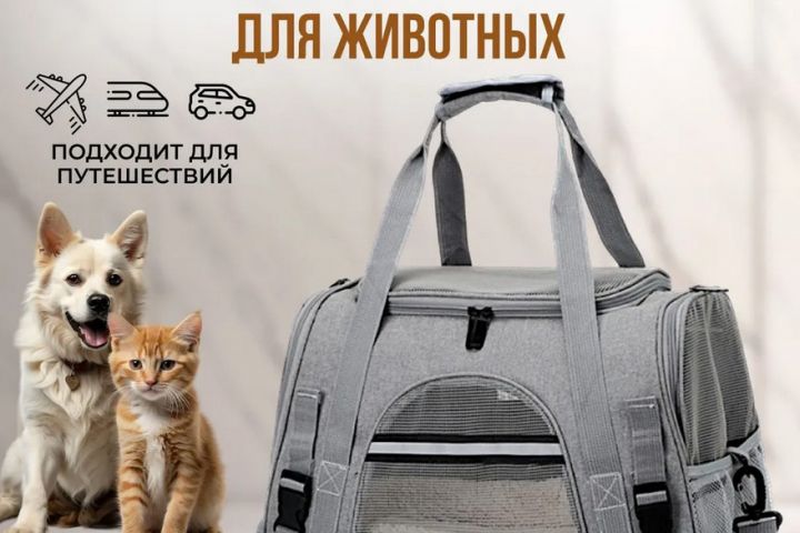 Дизайн для карточек Озон - 2097054