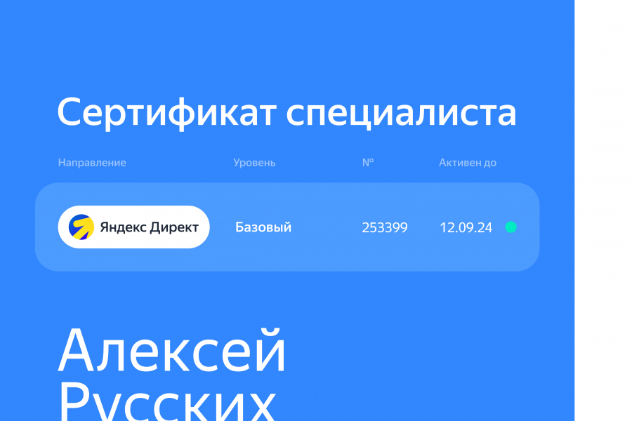 Настройка контекстной рекламы Яндекс Директ 15 000 руб.  за 30 дней.. Алексей Руских