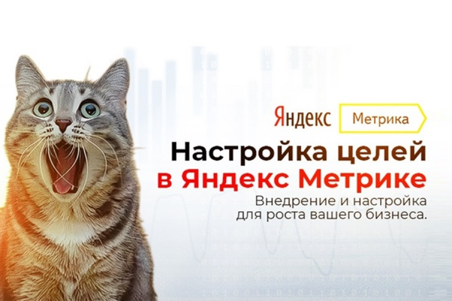 Настройка целей в Яндекс Метрике 1 000 руб.  за 1 день.. Роман Газизов