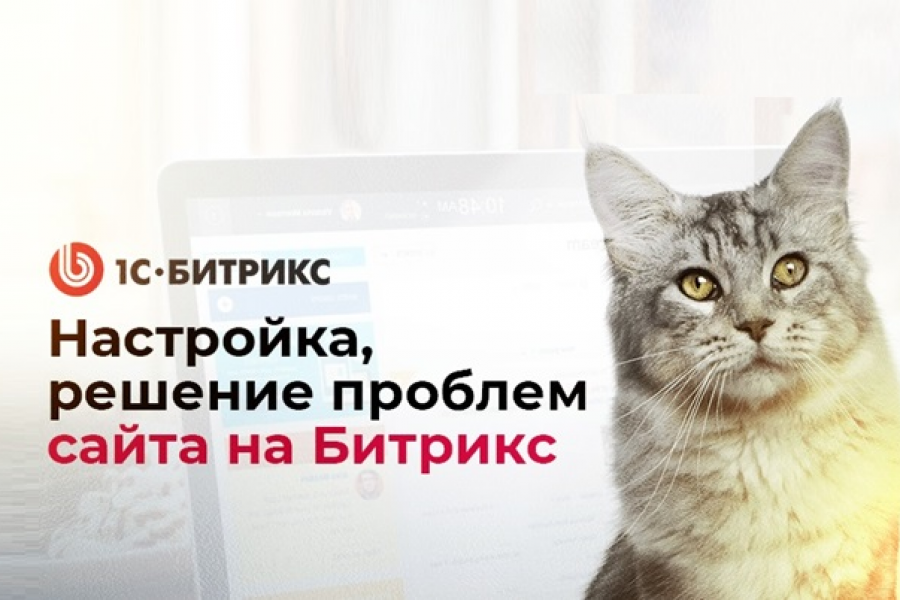 Настройка и решение проблем сайта на 1С-Битрикс 500 руб.  за 1 день.. Роман Газизов