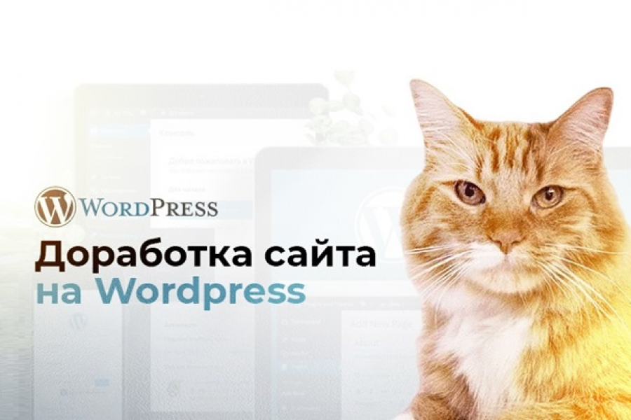 Доработка сайта на Wordpress 1 000 руб.  за 1 день.. Роман Газизов