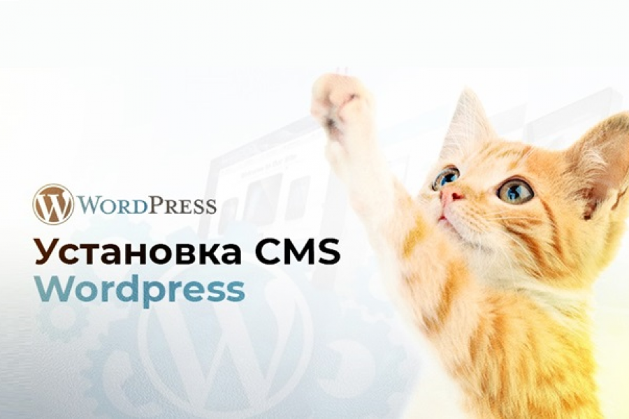 Установка Wordpress 700 руб.  за 1 день.. Роман Газизов