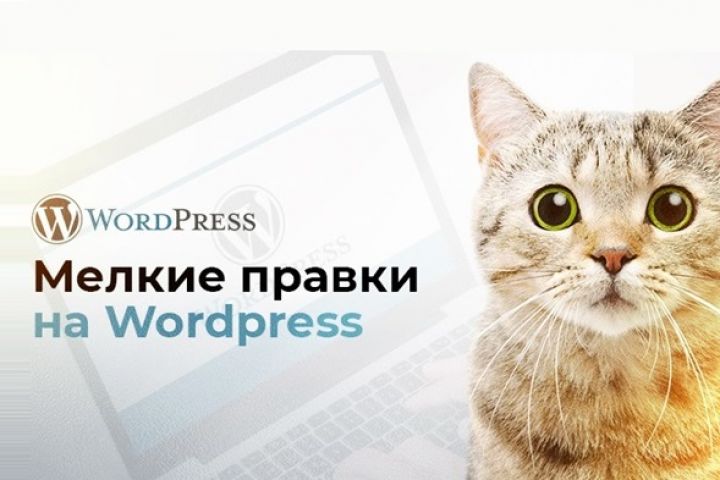 Мелкие правки на Wordpress - 2101976