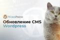Обновление Wordpress