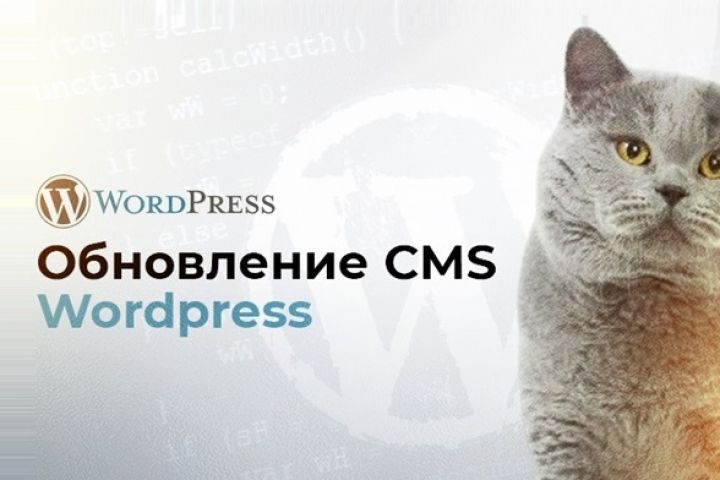 Обновление Wordpress - 2101979