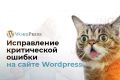Исправление критической ошибки на Wordpress