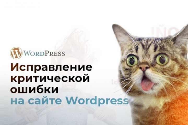 Исправление критической ошибки на Wordpress - 2101983