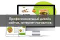 Профессиональный дизайн сайтов, интернет магазинов