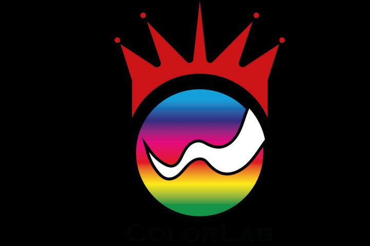 Сделаю индивидуальный логотип для вашей компании - 2109707